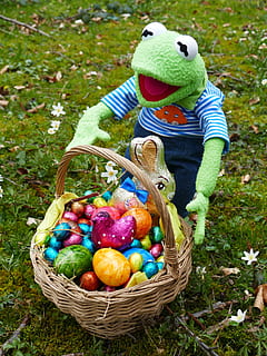 kermit frog, felpa, joguina, cistella, ous de Pasqua, Pasqua, cerca, osterkorb, niu de Pasqua, trobar, primavera, colorit, busqui ous, amagar-se, alegre, caramels, xocolata, deliciós, conill de Pasqua, figura, calories, conillets de xocolata, marca, jardí, kermit, granota, herba, contenidor, menjar i beguda, menjar, celebració, planta, naturalesa, ou de Pasqua, dia, multicolor, camp, ou, representació, representació animal, festa, infància, a l'aire lliure, 4K, CC0, domini públic, lliure de regalies