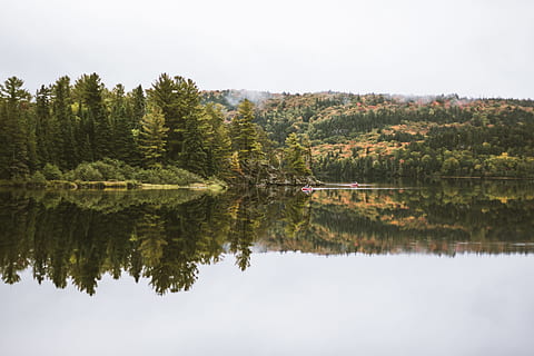 sø, Skov, hvid, himlen naturfotografering, Foto, legeme, vand, omgivet, træer, dagtimerne, landskabsfotografering, grøn fyrretræ, fyrretræer, natur, træ, landskab, scenics, afspejling, udendørs, rolig scene, sommer, skønhed i naturen, himmel, grøn farve, ingen mennesker, flod, blå, fyrretræ, plante, scenics - natur, ro, dag, havnefronten, jord, ikke-urbane scene, symmetri, nåletræ, eviggrønne træ, fyrreskov, 5K, CC0, offentligt domæne, royaltyfrie