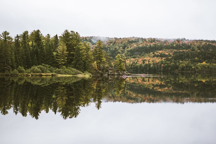 sø, Skov, hvid, himlen naturfotografering, Foto, legeme, vand, omgivet, træer, dagtimerne, landskabsfotografering, grøn fyrretræ, fyrretræer, natur, træ, landskab, scenics, afspejling, udendørs, rolig scene, sommer, skønhed i naturen, himmel, grøn farve, ingen mennesker, flod, blå, fyrretræ, plante, scenics - natur, ro, dag, havnefronten, jord, ikke-urbane scene, symmetri, nåletræ, eviggrønne træ, fyrreskov, 5K