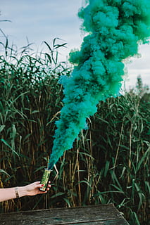 green smoke bomb, smoke bomb, abstract, background, outdoor, green smoke, green, nature, human Hand, outdoors, plant, summer, human body part, one person, green color, real people, day, hand, growth, body part, holding, tree, unrecognizable person, water, sky, lifestyles, finger, 4K