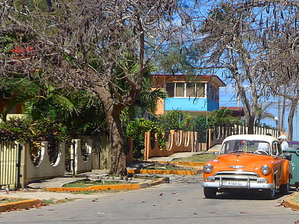 Orange, Fahrzeug, geparkt, draussen, Kuba, Oldtimer, Stadt, Auto, klassisch, Kühler, amerikanisches Auto, Straße, Baum, Gebäudehülle, draußen, gelbes Taxi, Transportmittel, Transport, die Architektur, gebaute Struktur, Pflanze, Kraftfahrzeug, Landfahrzeug, Tag, Natur, Gebäude, Wachstum, keine Leute, Ast, Baumstamm, 1080P, CC0, gemeinfrei, lizenzfrei