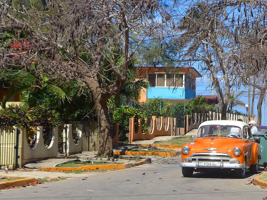 Orange, Fahrzeug, geparkt, draussen, Kuba, Oldtimer, Stadt, Auto, klassisch, Kühler, amerikanisches Auto, Straße, Baum, Gebäudehülle, draußen, gelbes Taxi, Transportmittel, Transport, die Architektur, gebaute Struktur, Pflanze, Kraftfahrzeug, Landfahrzeug, Tag, Natur, Gebäude, Wachstum, keine Leute, Ast, Baumstamm, 1080P