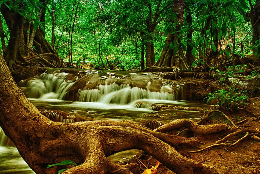 foto del timelapse, riu forestal, arbre, cascada, bosc, naturalesa, Parc Nacional, Tailàndia, boscos, pluja tropical, corrent, full, aigua, a l'aire lliure, riu, frescor, paisatge, clima tropical, escenics, bellesa a la natura, planta, terra, escenics - natura, tronc, tronc de l'arbre, creixement, tranquil·litat, moviment, aigua que flueix, escena no urbana, exposició llarga, escena tranquil·la, selva tropical, cap gent, que flueix, 4K