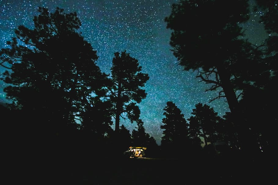 lav, vinkel billede, Skov, klar, himmel, nattetid, træer, grøn, nat tid, nat, stjerne, træ, eventyr, stjernehimmel, natur, nattehimmel, astrofotografering, skygge, lejrbål, Camping, plante, silhuet, vækst, skønhed i naturen, ro, scenics - natur, rolig scene, stjerne - rum, ingen mennesker, jord, plads, belyst, udendørs, mørk, astronomi, 5K
