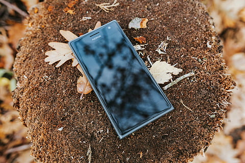 black, mobile, phone, ground, mobile phone, outdoor, leaves, smartphone, autumn, nature, insect, close-up, no people, day, outdoors, land, selective focus, solid, dirt, focus on foreground, high angle view, field, white color, leaf, black color, plant part, brown, textured, food, 4K, CC0, public domain, royalty free