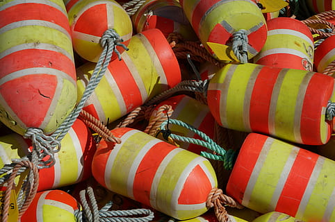 pesce, netto, galleggiante, cibo, attività, mare, affrontare, pescatore, nautico, industria, attrezzatura, fotogramma intero, giorno, sfondi, nessuno, grande gruppo di oggetti, pila, abbondanza, rosso, mucchio, all'aperto, cibo e bevande, multicolore, avvicinamento, combustibile e produzione di energia, tubo - tubo, cilindro, ripetizione, 4K, CC0, dominio pubblico, privo di copyright