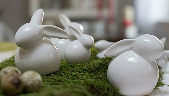 decoració, conill, Pasqua, conill de Pasqua, figura, deco, decoració de pasqua, dekohase, figureta de porcellana, Color blanc, cap gent, planta, herba, enfocament selectiu, representació, primer pla, ceràmica, naturalesa, tetera, menjar i beguda, porcellana, a l'interior, sal - condiment, centrar-se en primer pla, Saler, dia, 5K, CC0, domini públic, lliure de regalies