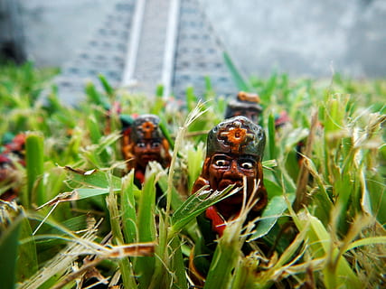 tribe, indians, aborigines, aztecs, plant, selective focus, invertebrate, nature, grass, animal themes, close-up, insect, day, animal, no people, animal wildlife, growth, beauty in nature, animals in the wild, freshness, outdoors, green color, one animal, food, small, 4K, CC0, public domain, royalty free