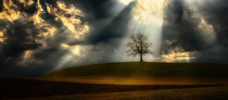 nu, árvore, Castanho, verde, Colina, nublado, céu, raio de luz, nuvens, humor, leve, raio de Sol, lichtspiel, ameaçador, luz de fundo, campo, negritude, místico, trovoada, Sombrio, meio Ambiente, nuvem - céu, natureza, terra, beleza na natureza, panorama, scenics - natureza, tempestade, luz solar, névoa, ao ar livre, ninguém, plantar, céu dramático, floresta, sinistro, 2K, CC0, domínio público, royalty free