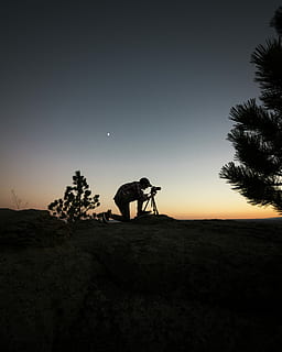 silhouet fotografie, man, capturing, foto, nachttijd, bezit, camera, naast, boom, hemel, fabriek, echte mensen, silhouet, zonsondergang, natuur, een persoon, mannen, levensstijlen, land-, veld-, heldere lucht, scenics - natuur, vrijetijdsbesteding, schoonheid in de natuur, milieu, volledige lengte, landschap, buitenshuis, paardrijden, 4K, CC0, publiek domein, royaltyvrij