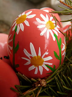 paasei, Pasen, verf, easter egg schilderij, Paas eieren, ei, schilderij, kunst, kleur, kleurrijk, rood, detailopname, fabriek, viering, bloem, focus op de voorgrond, bloeiende plant, geen mensen, natuur, creativiteit, kunst en ambacht, versheid, dag, decoratie, voedsel, schoonheid in de natuur, groei, breekbaarheid, buitenshuis, bloemhoofd, bloemenpatroon, 2K, CC0, publiek domein, royaltyvrij