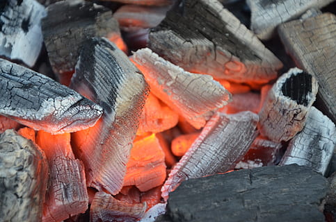 ember, žhavé uhlí, vysoká teplota, hořící, oheň, log, požár - přírodní jev, teplota - teplota, palivové dříví, dřevo - materiál, celý rám, dřevo, nikdo, uhlí, detail, plamen, pozadí, oranžová barva, den, Příroda, velká skupina objektů, venku, táborák, 4K, CC0, veřejná doména, bez autorských práv