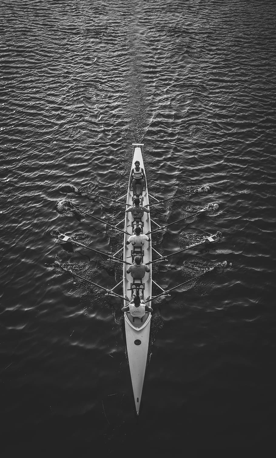 persone, equitazione, barca, corpo, acqua, foto in scala di grigi, gruppo, canottari, equipaggio, riga, canottaggio, sport, atleti, nave nautica, kayak, lago, ricerca ricreativa, fiume, all'aperto, remo, attività di svago, canoa, mare, vista dall'alto, lungomare, mezzi di trasporto, giorno, modo di trasporto, natura, persone reali, movimento, increspato, bellezza nella natura, uomini, viaggio, 5K