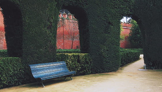 Blau, braun, hölzern, Bank, Park, tagsüber, Hof, Sträucher, Pfad, Gehweg, Pflanze, Sitz, Baum, leeren, die Architektur, Natur, keine Leute, gebaute Struktur, Abwesenheit, Tag, Wachstum, Gras, Parkbank, Park - menschgemachter Raum, draußen, Vorder- oder Hinterhof, Gebäude, Garten, Hecke, 2K, CC0, gemeinfrei, lizenzfrei