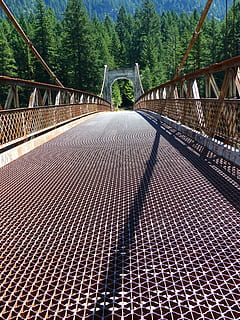 grå, brun, betong, bro, skog, alexandra broen, bygning, struktur, arkitektur, landemerke, reise, turisme, Urban, berømt, tiltrekning, landskap, fraser river valley, natur, utendørs, eldgammel, historie, historisk, sightseeing, British Columbia, Canada, forbindelse, bro - menneskeskapte struktur, retning, veien forover, transport, bygget struktur, rekkverk, synkende perspektiv, gangbru, tre, anlegg, dag, ingen folk, metall, forsvinner punkt, 4K, CC0, offentlig domene, opphavsrett gratis
