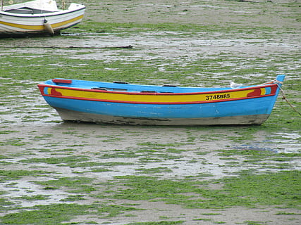 ebbe, støvle, ferie, skib, fiskerbåde, Havn, nautiske fartøj, vand, fortøjet, transportform, transportmidler, dag, ingen mennesker, natur, jord, strand, hav, udendørs, robåd, skønhed i naturen, sand, rejse, ro, havnefronten, forankret, fiskebåd, 4K, CC0, offentligt domæne, royaltyfrie