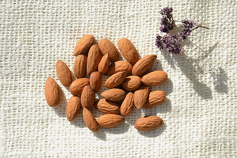 brown, peanuts, white, paper, almond, nuts, kernel, products, healthy foods, food, vegetarianism, nutrients, diet, useful, almond oil, spice, medicinal plant, seed, organic, snack, close-up, healthy Eating, nut - Food, nature, fruit, backgrounds, heap, vegetarian Food, flower, flowering plant, plant, food and drink, freshness, wellbeing, no people, nut, still life, indoors, high angle view, large group of objects, 4K, CC0, public domain, royalty free