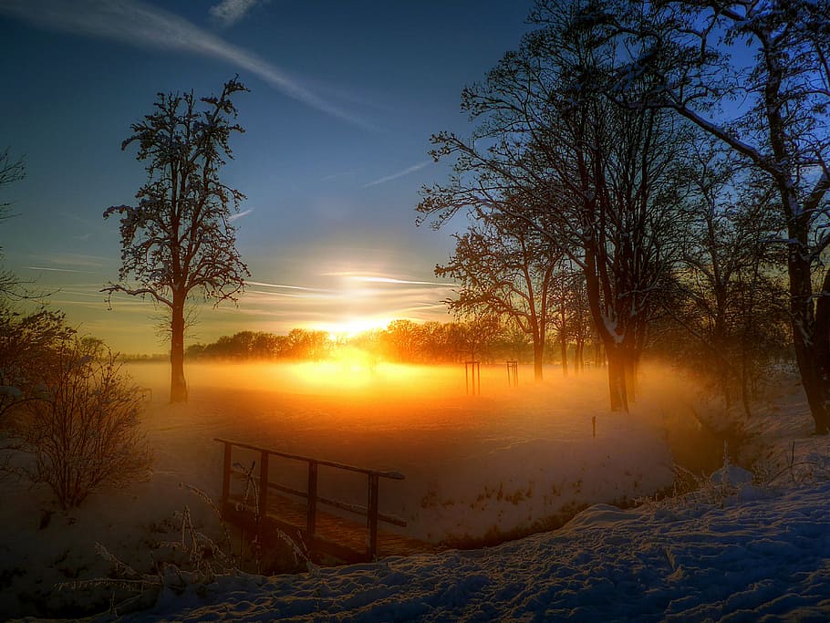 fotografía, puesta de sol, arboles, noche, Dom, puente, romántico, resplandor crepuscular, Abendstimmung, cielo de la tarde, cielo, estado animico, oscuridad, carril, árbol, La luz del atardecer, rayo de sol, invierno, naturaleza, crepúsculo, paisaje, ligero, bosque, dorado, nieve, al aire libre, scenics, temperatura fría, belleza en la naturaleza, tranquilidad, planta, paisajes - naturaleza, escena tranquila, tierra, ambiente, nadie, escena no urbana, árbol desnudo, color naranja, 4K