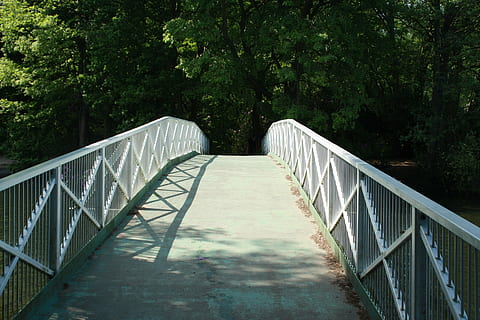 puente, parque, edificio, planta, árbol, el camino a seguir, barandilla, arquitectura, estructura construida, conexión, dirección, naturaleza, puente - estructura hecha por el hombre, día, transporte, nadie, puente peatonal, perspectiva decreciente, crecimiento, al aire libre, luz del sol, bosque, largo, 4K, CC0, dominio público, libre de derechos