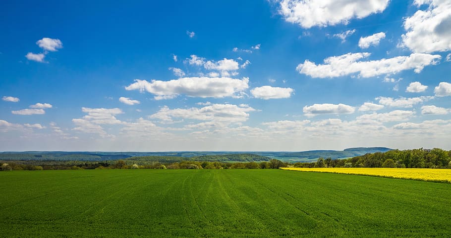 grøn, græsfelt, hvid, skyer, landskab, forår, Mark, himmel, blå, græsser, Skov, sti, promenade, landbrug, Tyskland, natur, græs, træer, bjerge, bakke, Rhön, eng, raps, landlige scene, gård, skønhed i naturen, rolig scene, scenics, ro, miljø, jord, sky - himmel, plante, scenics - natur, afgrøde, horisont over land, horisont, grøn farve, ingen mennesker, udendørs, 4K