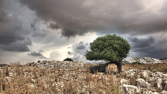 frem, tordenvejr, dramatisk, storm, regn, skyer, himmel, vejr, humør, natur, træ, dyster, skybrud, Grækenland, sky - himmel, landskab, ingen mennesker, udendørs, miljø, plante, cloudscape, jord, solid, dramatisk himmel, storm sky, scenics - natur, skønhed i naturen, klippe, rock-objekt, bjerg, halvtørre, klima, ildevarslende, 5K, CC0, offentligt domæne, royaltyfrie