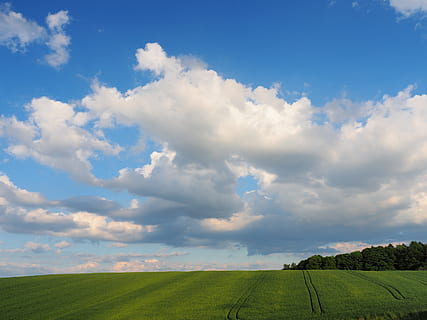 cirri, blu, cielo, nuvole, campo, paesaggio, erba, verde, scena tranquilla, natura, la tranquillità, bellezza nella natura, nuvola - cielo, scenics - natura, terra, ambiente, pianta, scena rurale, colore verde, nessuno, giorno, agricoltura, scena non urbana, idilliaco, all'aperto, 4K, CC0, dominio pubblico, privo di copyright