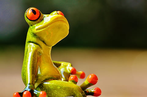 avvicinamento, fotografia, verde, giallo, ceramica, figurina, rana, figura, carina, pensieri, animale, divertente, rilassato, cibo e bevande, cibo, frutta, mangiare sano, concentrarsi sulle conoscenze acquisite, temi animali, nessuno, colore verde, rappresentazione animale, benessere, rappresentazione, un animale, in casa, uccello, Pepe, verdura, rosso, 4K, CC0, dominio pubblico, privo di copyright