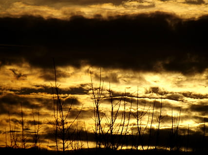 solnedgang, sol, Sky, himmel, ild, rød, sort, sky - himmel, skønhed i naturen, ro, rolig scene, scenics - natur, silhuet, natur, dramatisk himmel, ingen mennesker, orange farve, sollys, plante, ærefrygt, udendørs, mørk, atmosfærisk humør, miljø, timothy græs, 4K, CC0, offentligt domæne, royaltyfrie