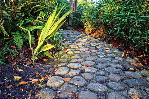 sti, brosten, cobble path, sten-, planter, buske, parkere, vækst, plante, natur, retning, vejen frem, dag, ingen mennesker, blad, grøn farve, plante del, skønhed i naturen, ro, udendørs, Mark, høj vinkel visning, jord, sten - objekt, lave om, haven sti, 4K, CC0, offentligt domæne, royaltyfrie