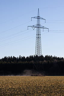 Güç hatları, pilon, şimdiki, strommast, kablo, güç hattı, güç kaynağı, sis, gökyüzü, peyzaj, doğa, tarıma elverişli, elektrik, elektrik pilonu, yakıt ve enerji üretimi, teknoloji, alan, arazi, bitki, bağ, ağaç, çevre, insansız, açık hava, düşük açılı görünüş, büyüme, açık havada, demir - metal, elektrik bileşeni, 4K, CC0, kamu malı, telif ücretsiz