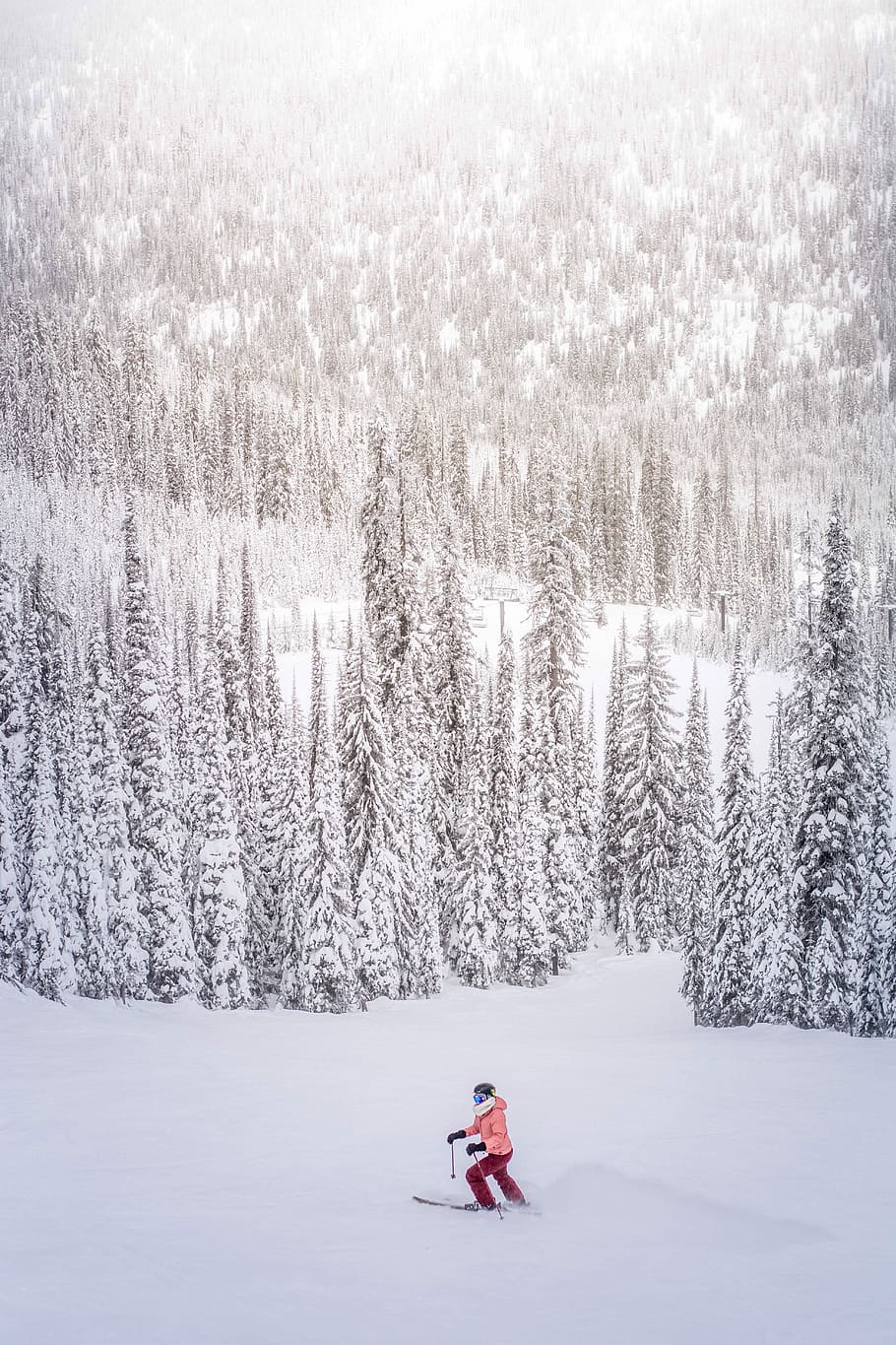 persona esquí de neu, cobert, muntanya, persona, esquí de neu, hivern, neu, a l'aire lliure, naturalesa, temporada, fred - temperatura, gent, vacances, diversió, bosc, esport, una persona, ètnia caucàsica, blanc, dones, somrient, paisatge, adult, felicitat, arbre, temperatura de fred, activitat d'oci, longitud completa, planta, terra, dia, bellesa a la natura, esport d'hivern, festa, escena no urbana, escenics - natura, roba calenta, nevar, 5K