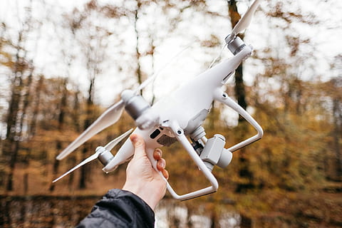 Person, halten, dji, Phantom, 4 Drohne, 4, Hand, Kamera, Baum, Wald, menschliche Hand, menschliches Körperteil, eine Person, persönliche Perspektive, echte Menschen, Fokus auf den Vordergrund, Pflanze, Körperteil, nicht erkennbare Person, Lebensstile, Natur, Tag, Freizeitbeschäftigung, Finger, menschlicher Finger, Land, draußen, menschliches Glied, 1080P, CC0, gemeinfrei, lizenzfrei
