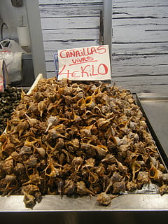 Concha, peixe, mercado, marisco, gourmet, textura, frutos do mar, fresco, ingrediente, Comida, comida e bebida, texto, frescura, à venda, abundância, grande grupo de objetos, varejo, comunicação, ninguém, dia, etiqueta de preço, bem-estar, visão de alto ângulo, animal, roteiro ocidental, venda, ao ar livre, exibição de varejo, lanche, 2K, CC0, domínio público, royalty free