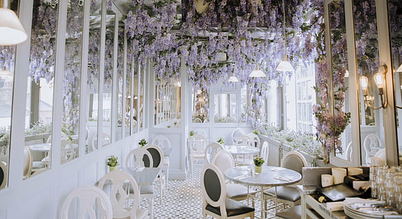 agăţat, flori, cameră, interior, proiecta, scaune, masa, estetic, restaurant, extravagant, restaurante fine, decor, luxos, eleganţă, scaun, nuntă, celebrare, masa de seara, banchet, plantă, floare, setarea locului, cadru, planta cu flori, culoare alba, nici o persoana, în interior, sticlă, bogatie, eveniment, echipamente de uz casnic, 5K