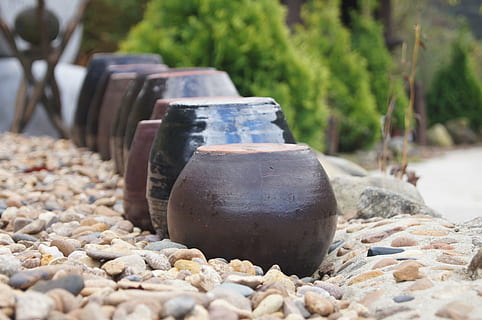 jar, chapter dogdae, only, no people, solid, day, nature, selective focus, rock, stone - object, plant, outdoors, close-up, rock - object, metal, sunlight, in a row, focus on foreground, tree, earthenware, land, container, pebble, concrete, 4K, CC0, public domain, royalty free