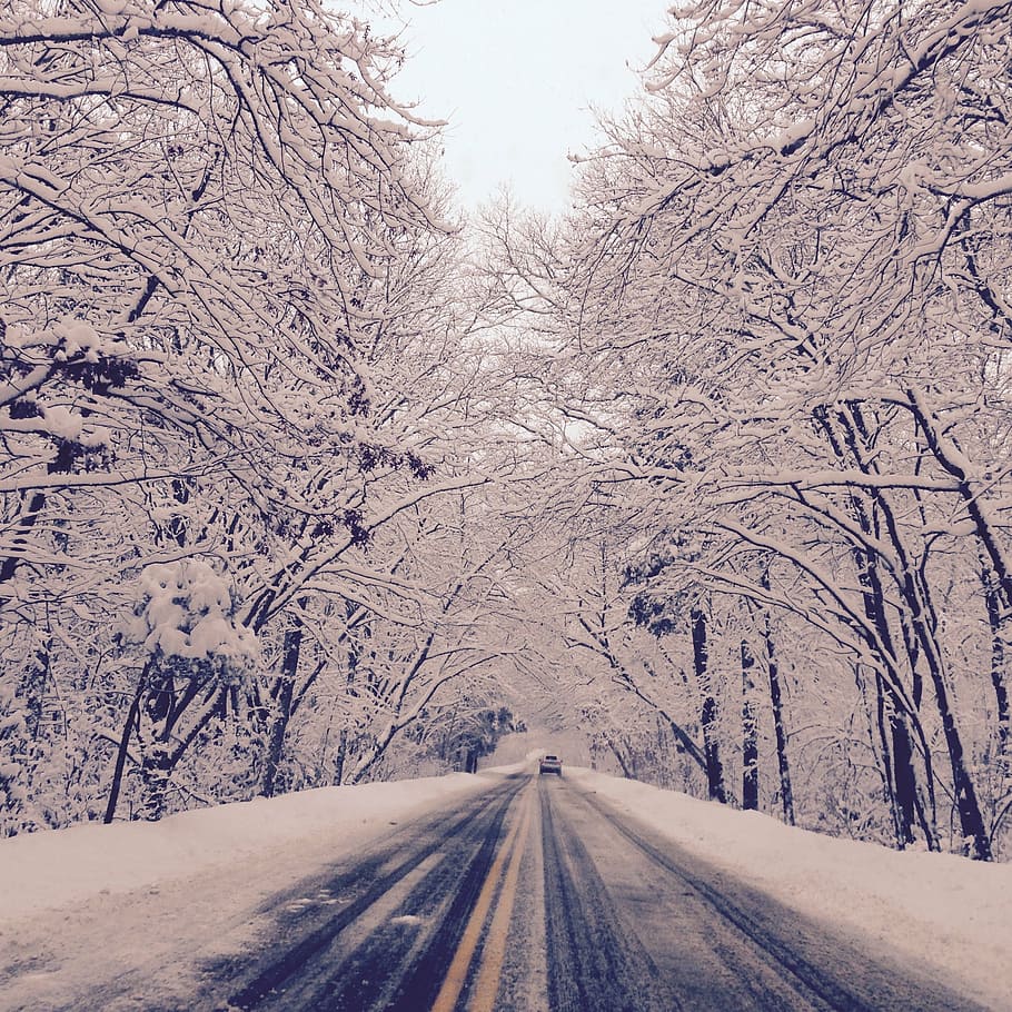Schnee, Winter, Fahren, kalte Temperatur, Straße, Baum, Transport, Pflanze, der Weg nach vorn, Richtung, Abdeckung, abnehmende Perspektive, Natur, Schönheit in der Natur, keine Leute, Tag, Szenen - Natur, Ruhe, kahler Baum, weiße Farbe, draußen, 1080P