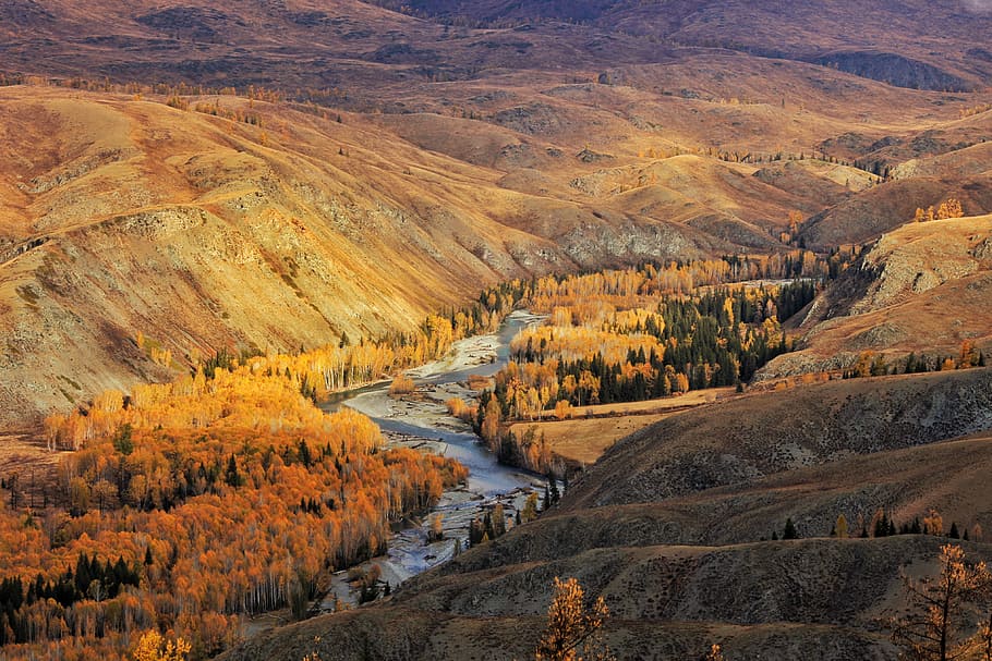 corpo, acqua, circondato, arancia, alberi, aereo, fotografia, fiume serpeggiante, valle, ruscello, paesaggio, natura selvaggia, collina, scenics - natura, ambiente, bellezza nella natura, scena non urbana, autunno, pianta, scena tranquilla, montagna, natura, nessuno, la tranquillità, terra, giorno, albero, geografia fisica, a distanza, all'aperto, catena montuosa, vista dall'alto, semi arido, clima arido, clima, 4K