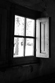 blanco negro, ventana, antiguo, arquitectura, abandonado, edificio, día, adentro, nadie, material de vidrio, dañado, casa, estructura construida, obsoleto, atropellar, deterioro, disminución, transparente, interior de la casa, vista de ángulo bajo, marco de la ventana, arruinado, 5K, CC0, dominio público, libre de derechos