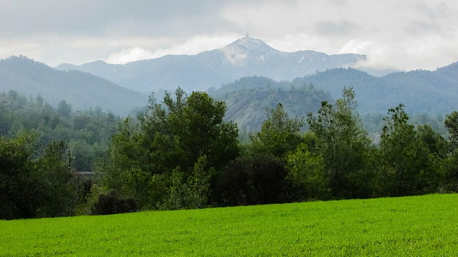 verd, arbres, muntanyes, camp, durant el dia, prat, paisatge, muntanya, paisatge de muntanya, naturalesa, bosc, hivern, troodhos, Xipre, arbre, bellesa a la natura, tranquil·litat, escena tranquil·la, color verd, escenics, planta, escenics - natura, medi ambient, terra, cel, herba, núvol - cel, cap gent, boira, escena rural, Serra, pi, a l'aire lliure, bosc de pi, arbre de coníferes, 4K