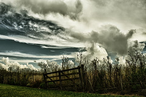 portón, cielo, tormenta, campo, nubes, paisaje, nube - cielo, planta, ambiente, árbol, nadie, tierra, naturaleza, hierba, cerca, belleza en la naturaleza, barrera, límite, paisajes - naturaleza, nublado, cielo dramático, al aire libre, ominoso, contaminación, 5K, CC0, dominio público, libre de derechos