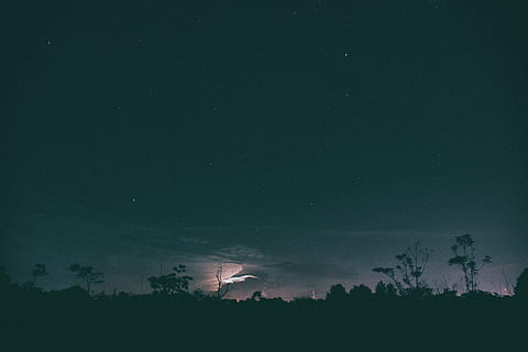 foto siluet, pohon, bintang, gelap, malam, langit, awan, gunung, bayangan hitam, cahaya, menanam, bintang - ruang, keindahan di alam, scenics - alam, ruang, alam, tidak ada orang, Arsitektur, ketenangan, adegan yang tenang, struktur yang dibangun, astronomi, eksterior bangunan, tanah, tampilan sudut rendah, awan - langit, ruang dan astronomi, 5K, CC0, domain publik, bebas royalti