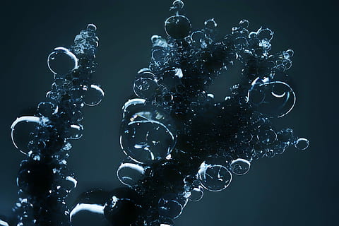 bolle d'acqua, digitale, sfondo, bolla, astratto, buio, contrasto, colore, sfera, il giro, grappolo, modello, chiaro, traslucido, Chihuly, bicchiere, soffiato, arte, scultura, girato in studio, in casa, sfondo nero, innovazione, scienza, colpo alla testa, avvicinamento, tecnologia, ritratto, creatività, movimento, persone, connessione, intelligenza, formazione scolastica, chimica, grigio, adulto, robot, natura, vista profilo, 4K, CC0, dominio pubblico, privo di copyright