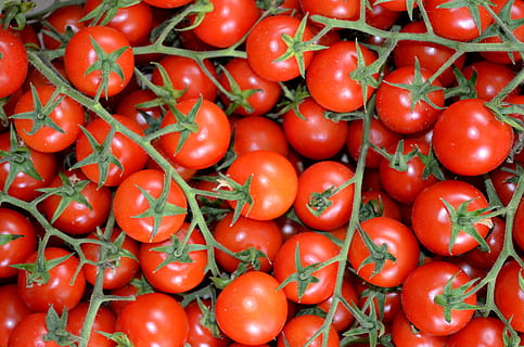 pomidorai, daržovės, raudona, salento, Maistas ir gėrimai, maisto, daržovių, šviežumas, gerovę, didelė objektų grupė, sveika mityba, tiesiogiai virš, fonas, gausa, pomidorų, visą kadrą, nėra žmonių, Iš arti, augalų, turgus, natiurmortas, Parduodama, vaisiai, subrendęs, 4K, CC0, Viešasis domenas, nemokamai