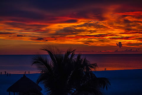 beach during sunset, silhouette, hut, coconut trees, beach, golden, hour, sunset, palm tree, ocean, tree, water, sea, sky, cloud - sky, tropical climate, land, nature, horizon, beauty in nature, travel destinations, scenics - nature, horizon over water, tranquility, orange color, dramatic sky, outdoors, romantic sky, coconut palm tree, 5K, CC0, public domain, royalty free