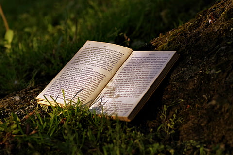 ouvert, livre, les herbes, jour, lis, parc, vieux, l'écriture, gothique, arbre, le soleil, ombre, tranquillité d'esprit, herbe, connaissance, éducation, vieux livre, papier, Starodruk, Culture, allemand, relaxation, vacances, plante, champ, personne, journée, en plein air, la nature, fermer, texte, la communication, religion, publication, croyance, spiritualité, ouvrir, page, mise au point sélective, objet unique, couleur verte, compétence, 5K, CC0, domaine public, libre de droits