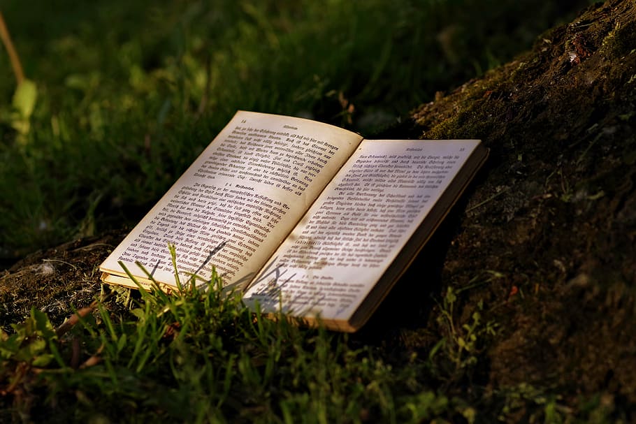 obert, llibre, herbes, durant el dia, llegir, parc, vell, escriure, gòtic, arbre, el sol, ombra, tranquil·litat, herba, coneixement, educació, llibre antic, paper, starodruk, cultura, alemany, relaxació, festa, planta, camp, cap gent, dia, a l'aire lliure, naturalesa, primer pla, text, comunicació, religió, publicació, creença, espiritualitat, pàgina, enfocament selectiu, sol objecte, color verd, experiència, 5K