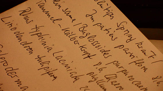 white, printing paper, text, notes, list, office, school, work, memory, cheat sheet, learn, paper, leaves, leave, font image, handwritten, pen, paperwork, homework, homework assignment, beautiful scripture, words, sets, description, latin, botany, communication, close-up, indoors, western script, mathematics, script, number, no people, handwriting, still life, non-western script, education, high angle view, page, publication, message, formula, detail, 4K, CC0, public domain, royalty free
