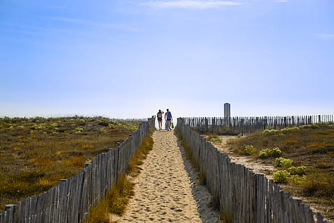 mennesker, gå, Strand, sti, dyner, person, Mann, gruppe, vandre folk, fritid, sommer, himmel, kvinner, natur, gress, gangsti, samvær, to mennesker, dag, voksen, utsikt bakover, land, veien forover, anlegg, klar himmel, kopiere plass, menn, retning, full lengde, utendørs, synkende perspektiv, parforhold, 5K, CC0, offentlig domene, opphavsrett gratis