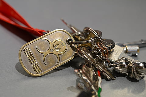 nøglering, nøgler, flok, ring, sikkerhed, låse, låse op, bil, hus, åben, metal, ejer, sikker, hjem, husnøgler, hjemme sikkerhed, adgang, ejendomsret, stål, makro, hoveddør, metallisk, nøgle, tæt på, indendørs, ingen mennesker, stilleben, selektiv fokusering, bord, forbrydelse, grå, studio skud, finansiere, lov, meddelelse, grå baggrund, fokus på forgrunden, forretning, sociale problemer, sølvfarvet, 5K, CC0, offentligt domæne, royaltyfrie