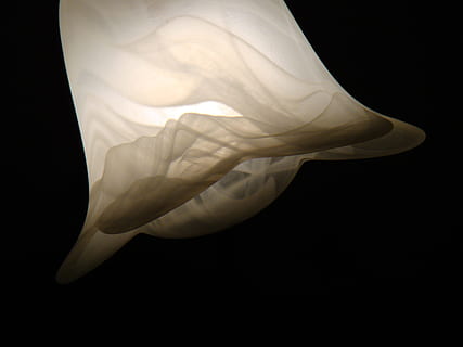 llum de recanvi, llum, il·luminació, humor, la bombeta, brilli, fons negre, tir de l'estudi, pètal, flor, primer pla, planta amb flors, Color blanc, bellesa a la natura, vulnerabilitat, fragilitat, frescor, a l'interior, inflorescència, cap gent, naturalesa, cap de flor, còpia espai, lliri de cala, 2K, CC0, domini públic, lliure de regalies